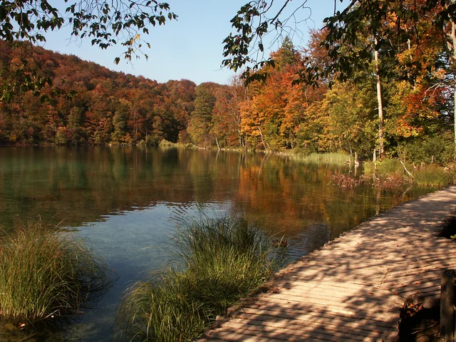 Autumn foliage around Plitvice Lakes