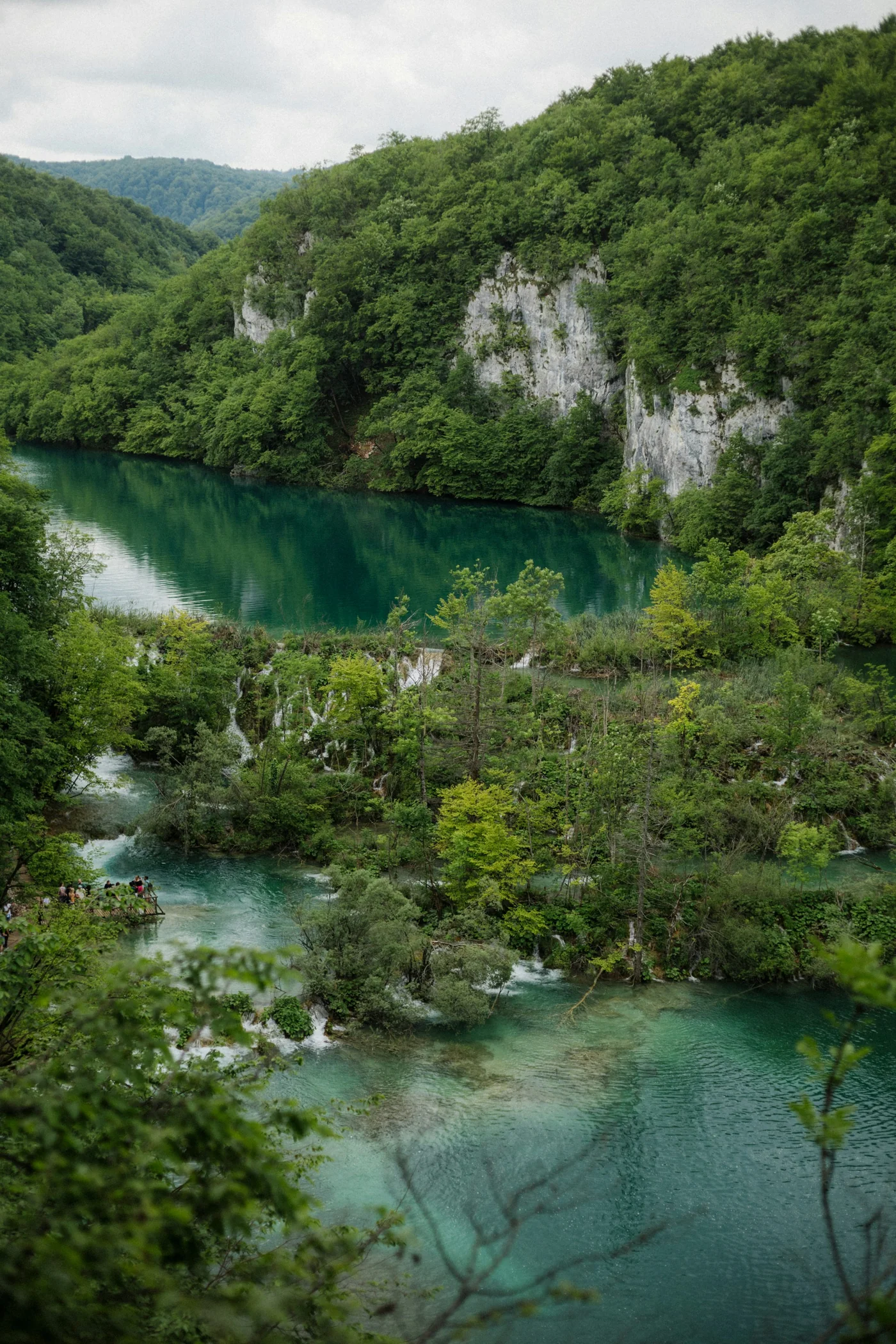 Forest and turquoise lake in Plitvice Lakes National Park